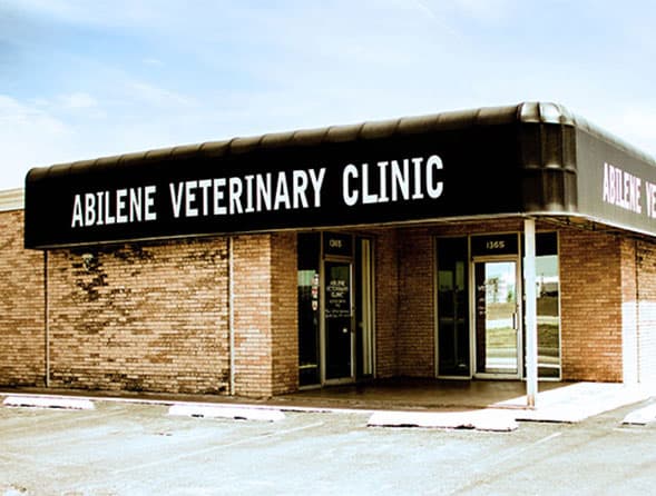 Abilene Veterinary Clinic
